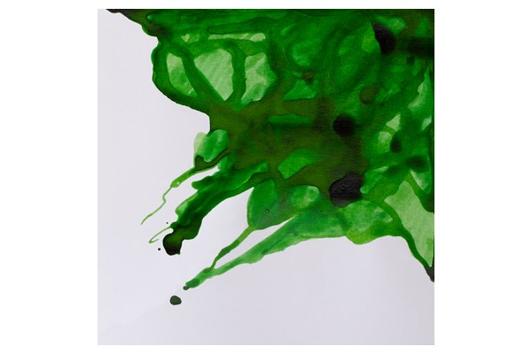 Drawing Ink 14ml Apple Green 011